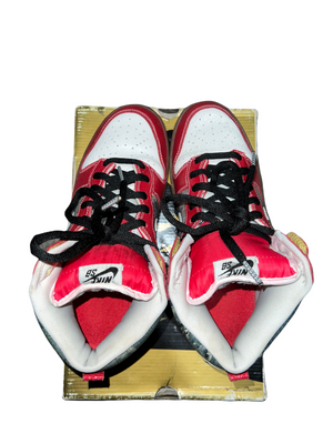 Nike Dunk High Premium Sb - Shoe Goo-