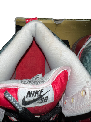 Nike Dunk High Premium Sb - Shoe Goo-