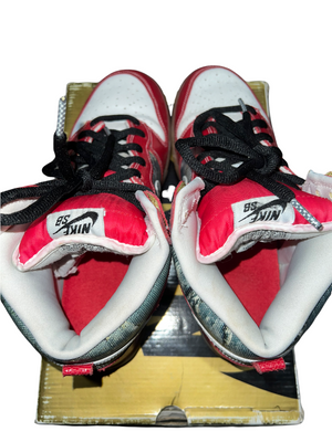 Nike Dunk High Premium Sb - Shoe Goo-